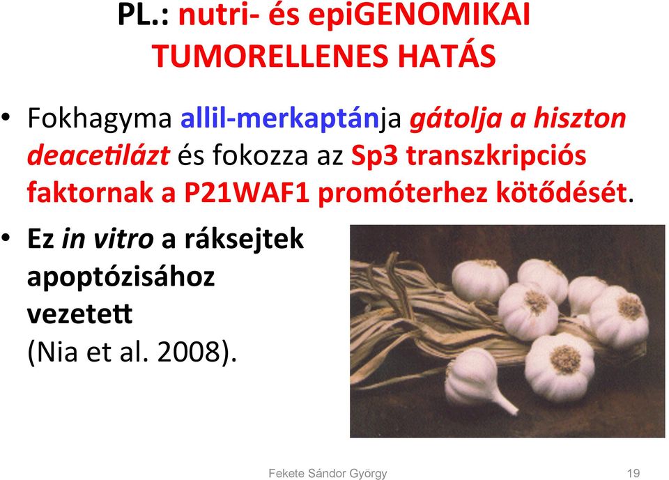 transzkripciós faktornak a P21WAF1 promóterhez kötődését.