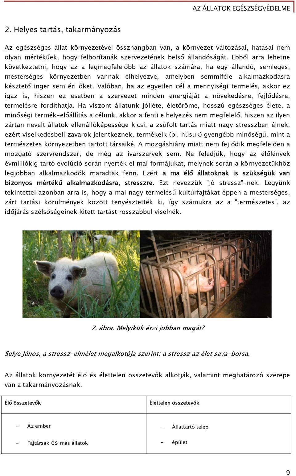 sem éri őket. Valóban, ha az egyetlen cél a mennyiségi termelés, akkor ez igaz is, hiszen ez esetben a szervezet minden energiáját a növekedésre, fejlődésre, termelésre fordíthatja.