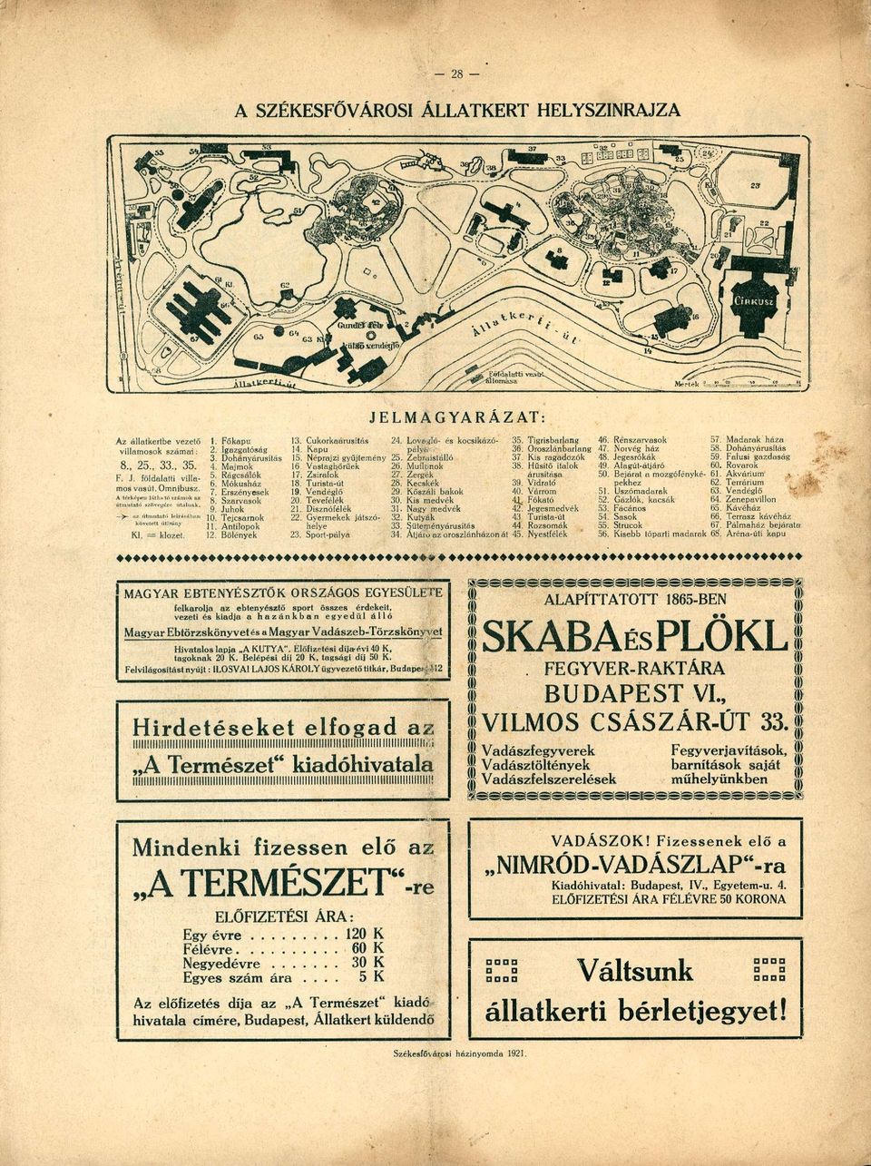 Vastagbőrűek 17. Zsiráfok 18. Turista-út 19. Vendéglő 20. Tevefélék 21. Disznófélék 22. Gyermekek játszóhelye 23. Sport-pálya JELMAGYARÁZAT: 26. 27. 28. 29. 30. 31. 32. 33. 34.