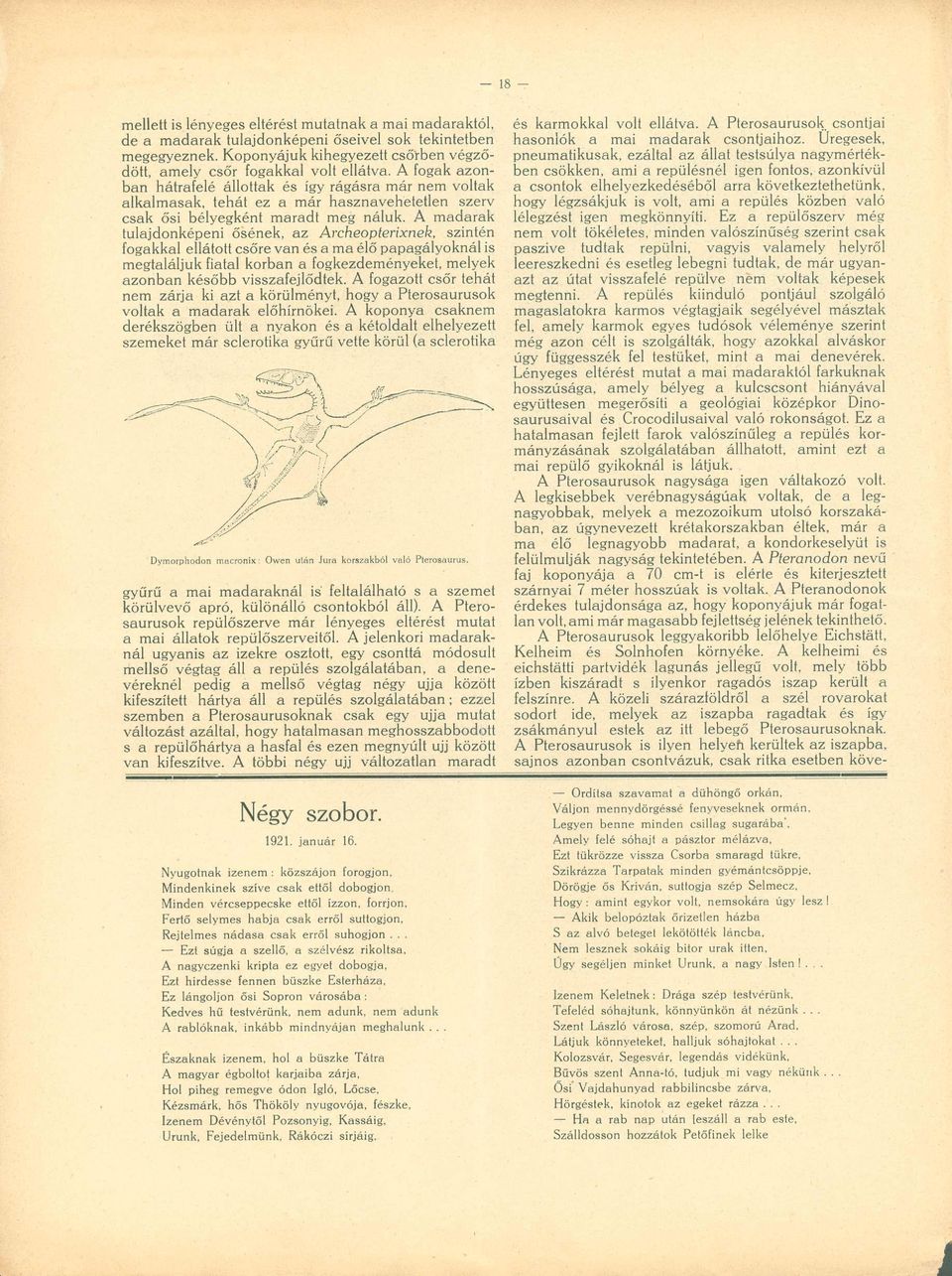 A madarak tulajdonképeni ősének, az Archeopterixnek, szintén fogakkal ellátott csőre van és a ma élő papagályoknál is megtaláljuk fiatal korban a fogkezdeményeket, melyek azonban később