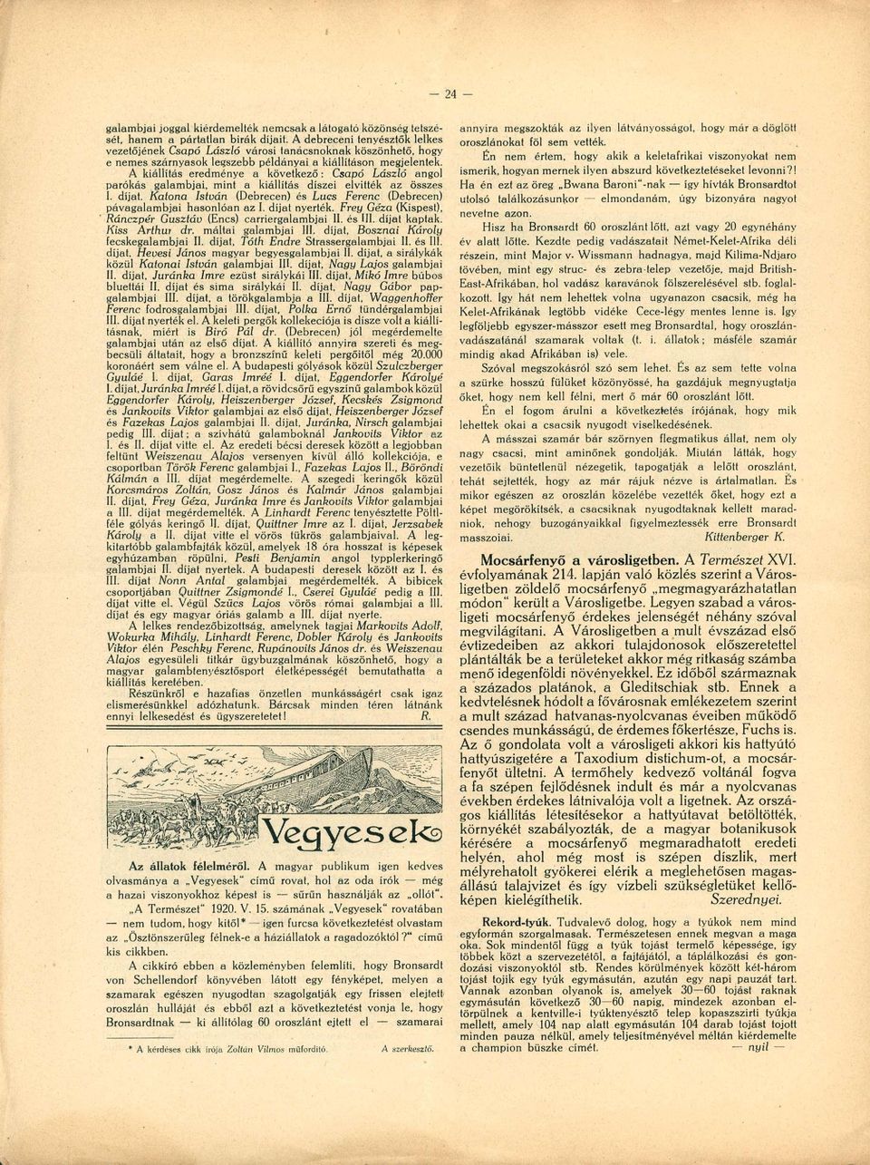 A kiállítás eredménye a következő: Csapó László angol parókás galambjai, mint a kiállítás díszei elvitték az összes I. díjat.