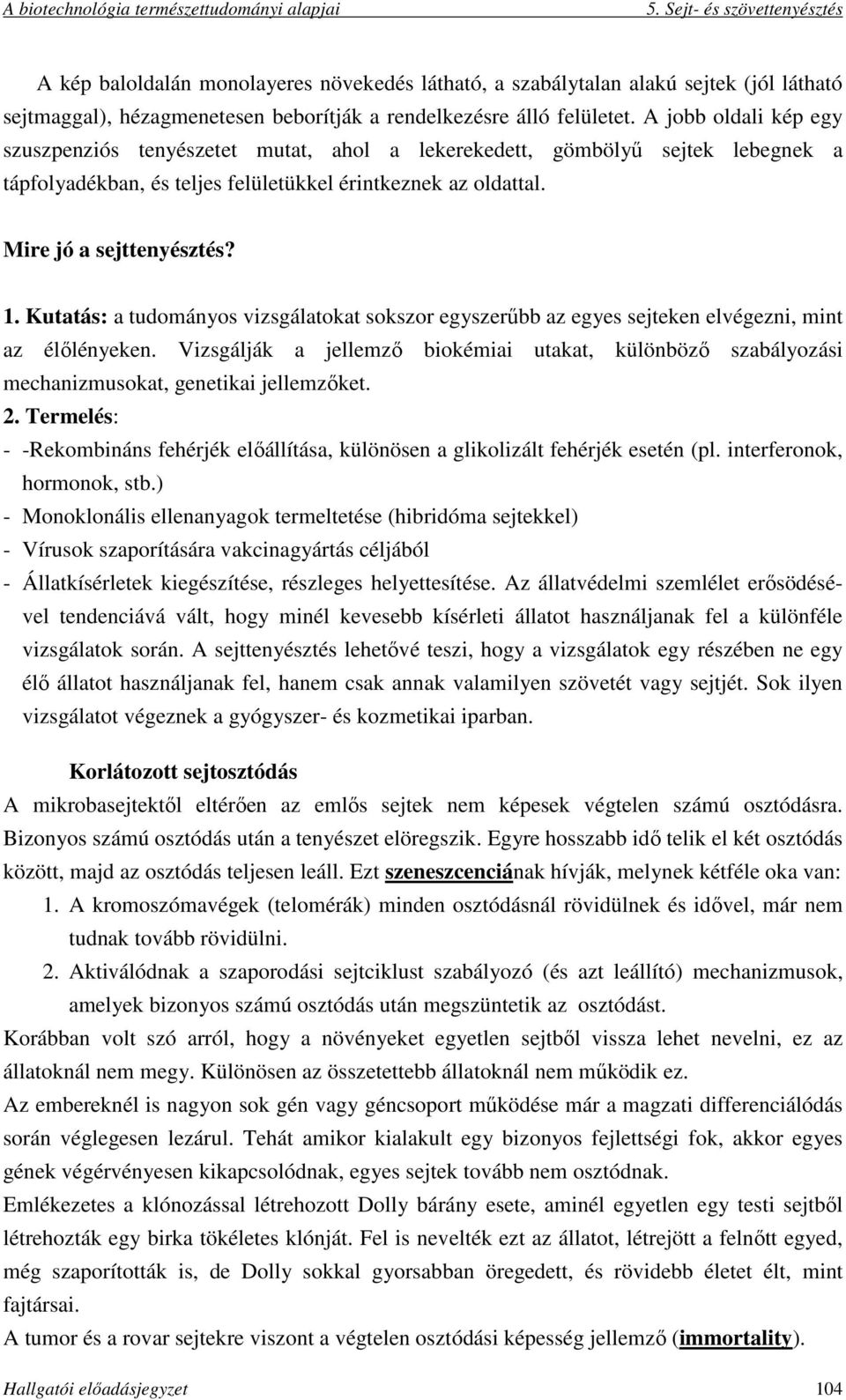 Kutatás: a tudományos vizsgálatokat sokszor egyszerűbb az egyes sejteken elvégezni, mint az élőlényeken.