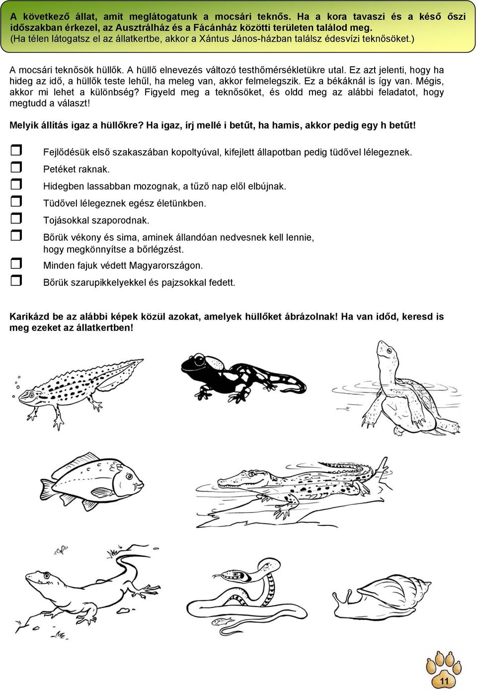 Ez azt jelenti, hogy ha hideg az idő, a hüllők teste lehűl, ha meleg van, akkor felmelegszik. Ez a békáknál is így van. Mégis, akkor mi lehet a különbség?