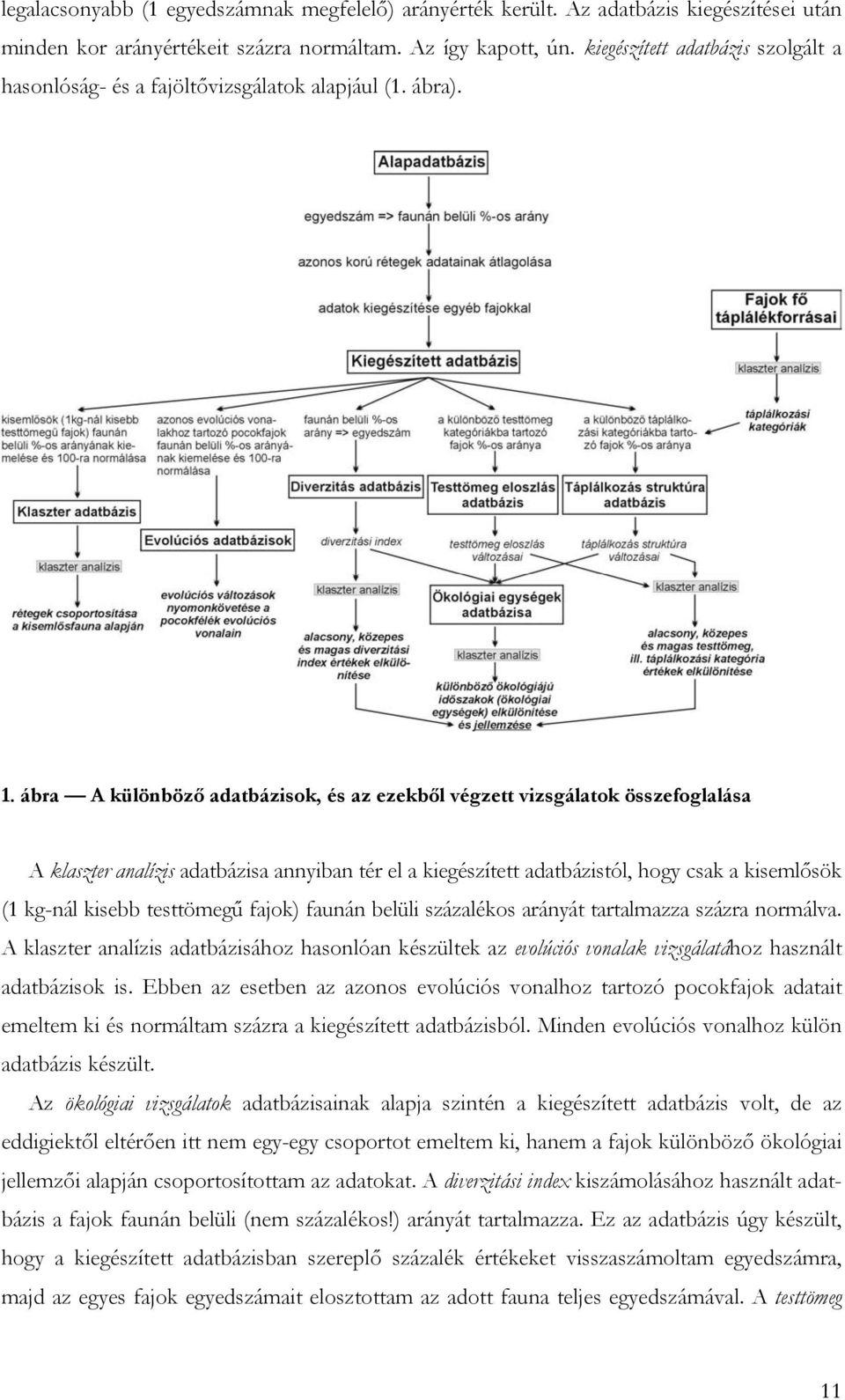 ábra A különböző adatbázisok, és az ezekből végzett vizsgálatok összefoglalása A klaszter analízis adatbázisa annyiban tér el a kiegészített adatbázistól, hogy csak a kisemlősök (1 kg-nál kisebb