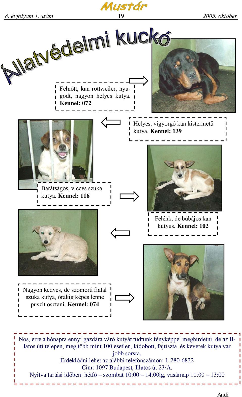 Kennel: 102 Nagyon kedves, de szomorú fiatal szuka kutya, órákig képes lenne puszit osztani.