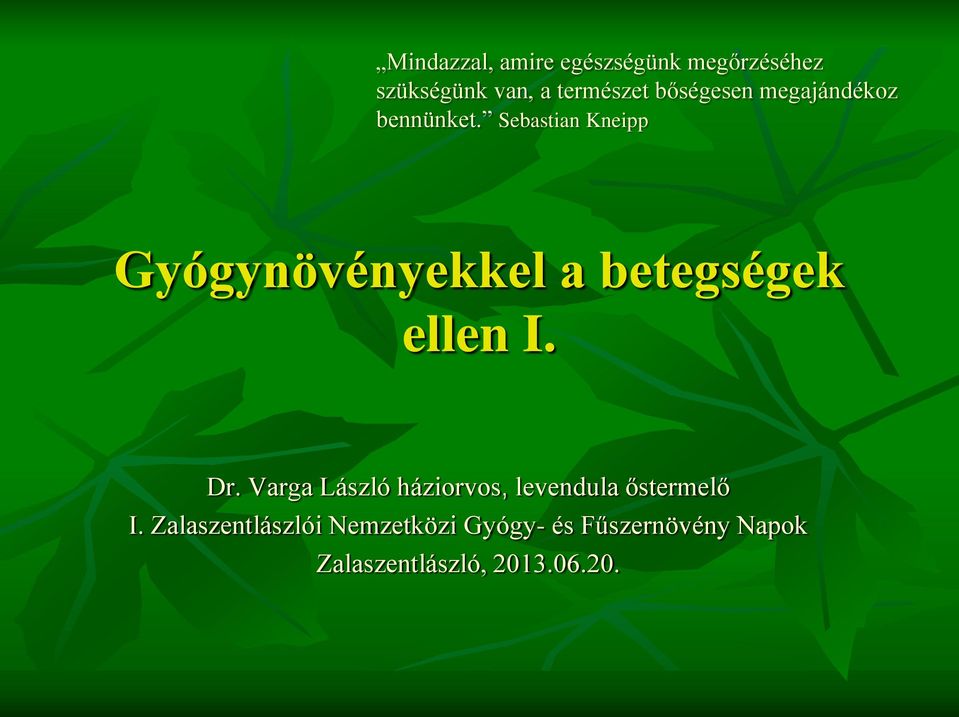 Sebastian Kneipp Gyógynövényekkel a betegségek ellen I. Dr.