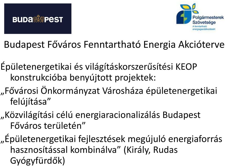 Közvilágítási célú energiaracionalizálás Budapest Főváros területén