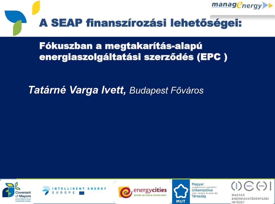 energiaszolgáltatási szerződés (EPC