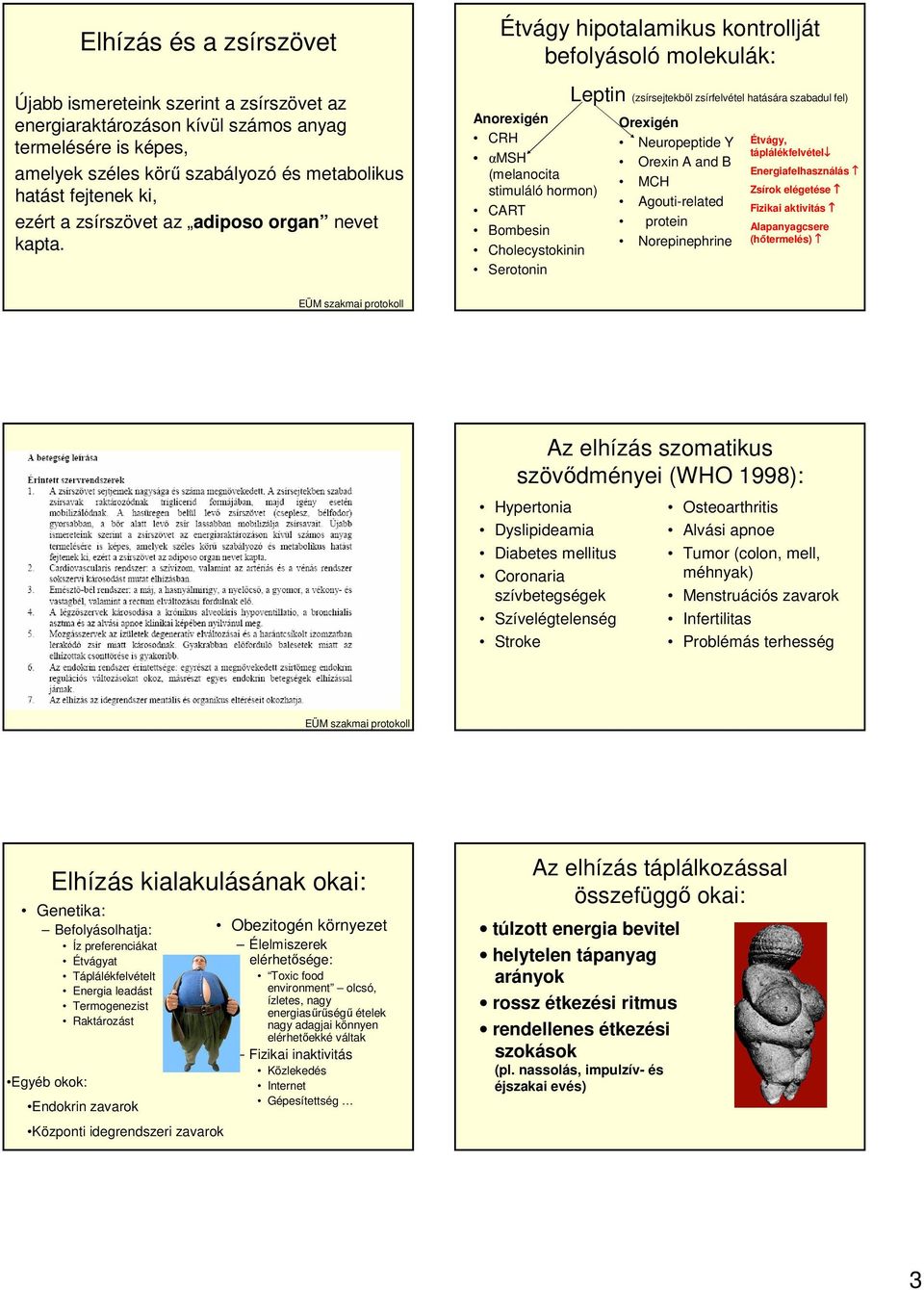 Étvágy hipotalamikus kontrollját befolyásoló molekulák: Anorexigén CRH αmsh (melanocita stimuláló hormon) CART Bombesin Cholecystokinin Serotonin Leptin (zsírsejtekből zsírfelvétel hatására szabadul