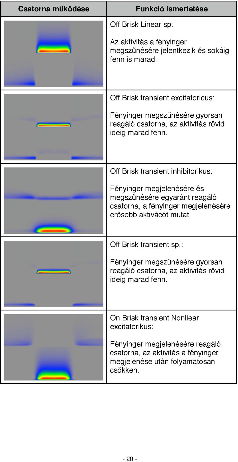 Off Brisk transient inhibitorikus: Fényinger megjelenésére és megszűnésére egyaránt reagáló csatorna, a fényinger megjelenésére erősebb aktivácót mutat.