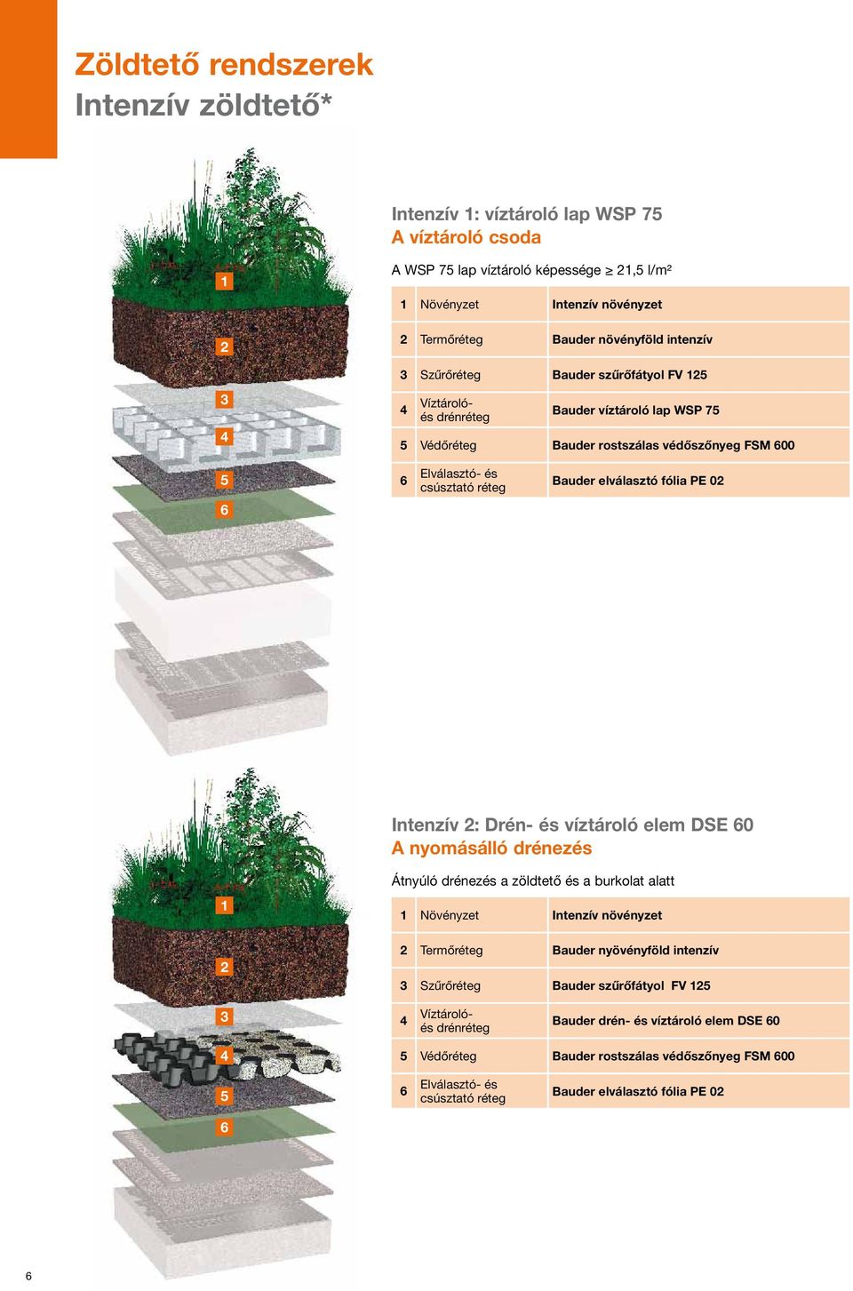 fólia PE 02 Intenzív 2: Drén- és víztároló elem DSE 0 A nyomásálló drénezés 1 2 Átnyúló drénezés a zöldtető és a burkolat alatt 1 Növényzet Intenzív növényzet 2 Termőréteg Bauder nyövényföld intenzív