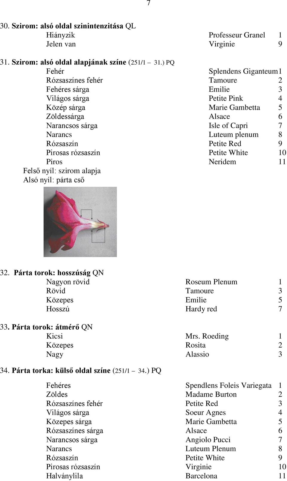 Narancs Luteum plenum 8 Rózsaszín Petite Red 9 Pirosas rózsaszín Petite White 10 Piros Neridem 11 Felső nyíl: szirom alapja Alsó nyíl: párta cső 32.