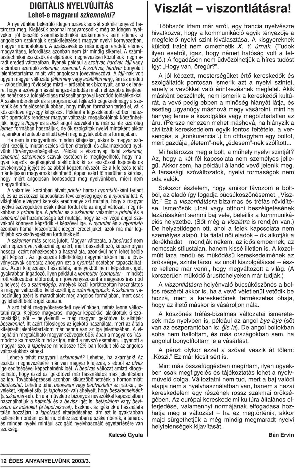 szakmájuk szakkifejezéseit magyar nyelvi környezetben, magyar mondatokban A szakszavak és más idegen eredetû elemek magyarítása, lefordítása azonban nem jár mindig sikerrel A számítástechnikai