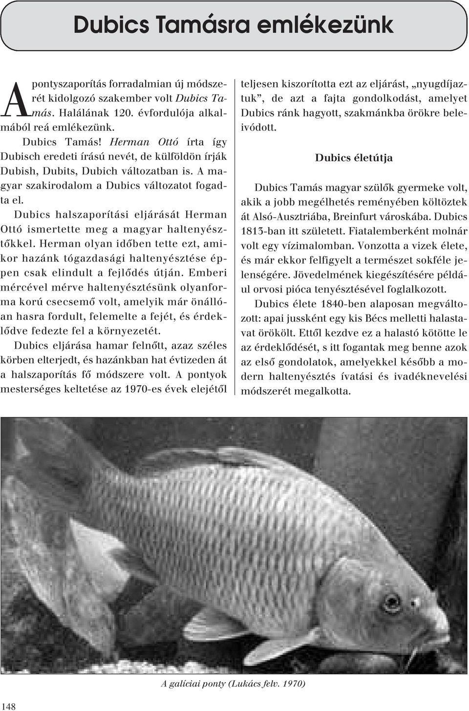 A magyar szakirodalom a Dubics változatot fogadta el. Dubics halszaporítási eljárását Herman Ottó ismertette meg a magyar haltenyésztôkkel.