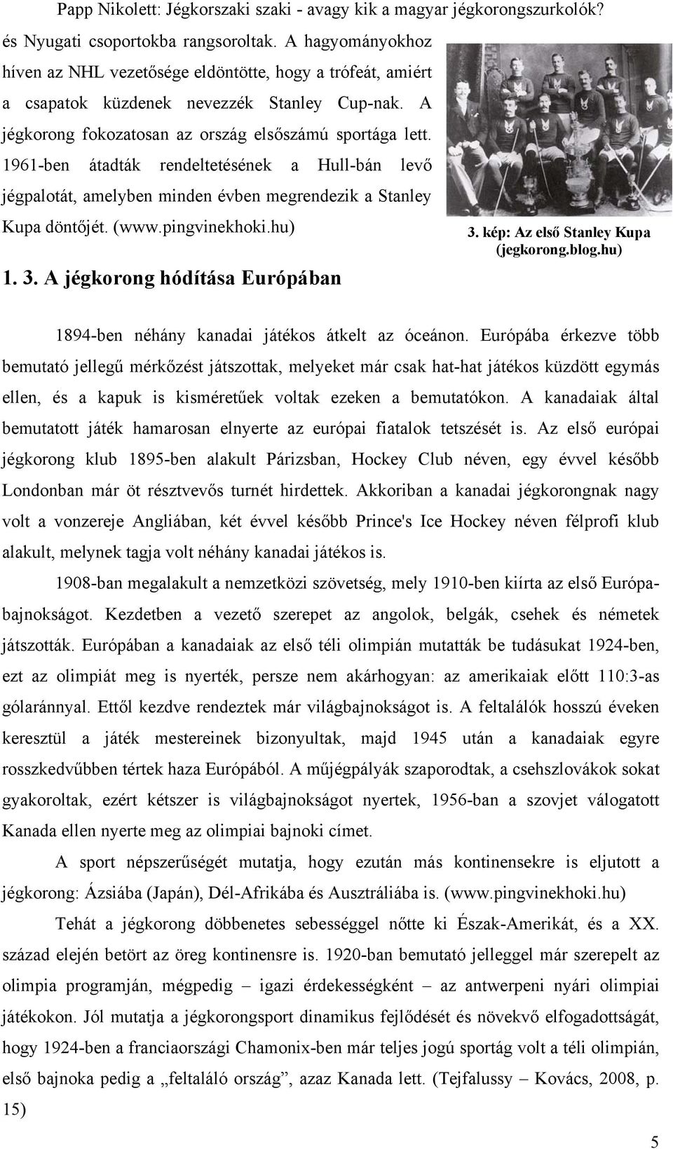 hu) 1. 3. A jégkorong hódítása Európában 3. kép: Az első Stanley Kupa (jegkorong.blog.hu) 1894-ben néhány kanadai játékos átkelt az óceánon.