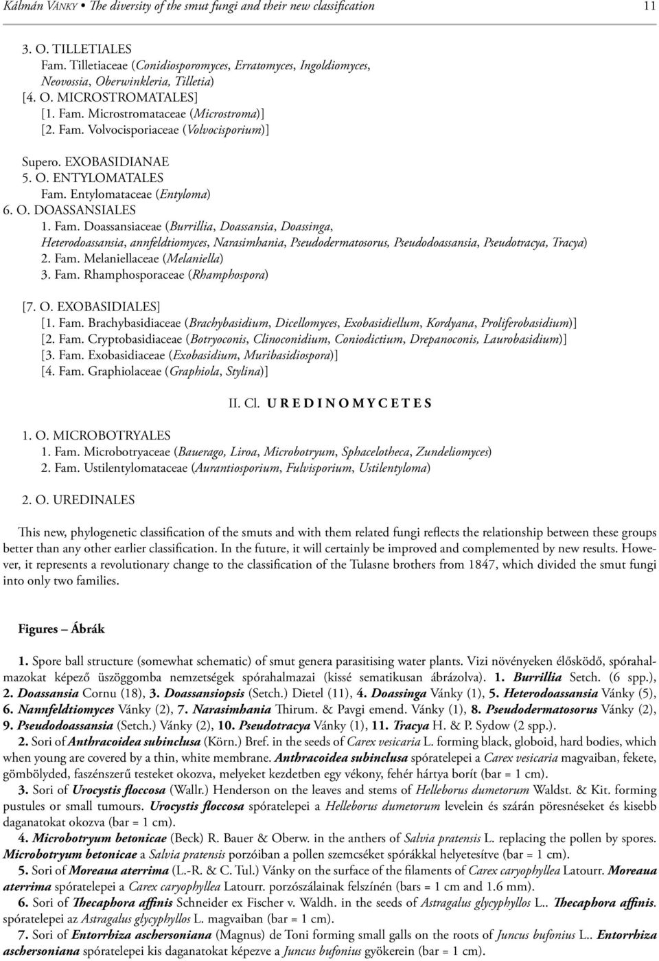 Fam. Doassansiaceae (Burrillia, Doassansia, Doassinga, Heterodoassansia, annfeldtiomyces, Narasimhania, Pseudodermatosorus, Pseudodoassansia, Pseudotracya, Tracya) 2. Fam.