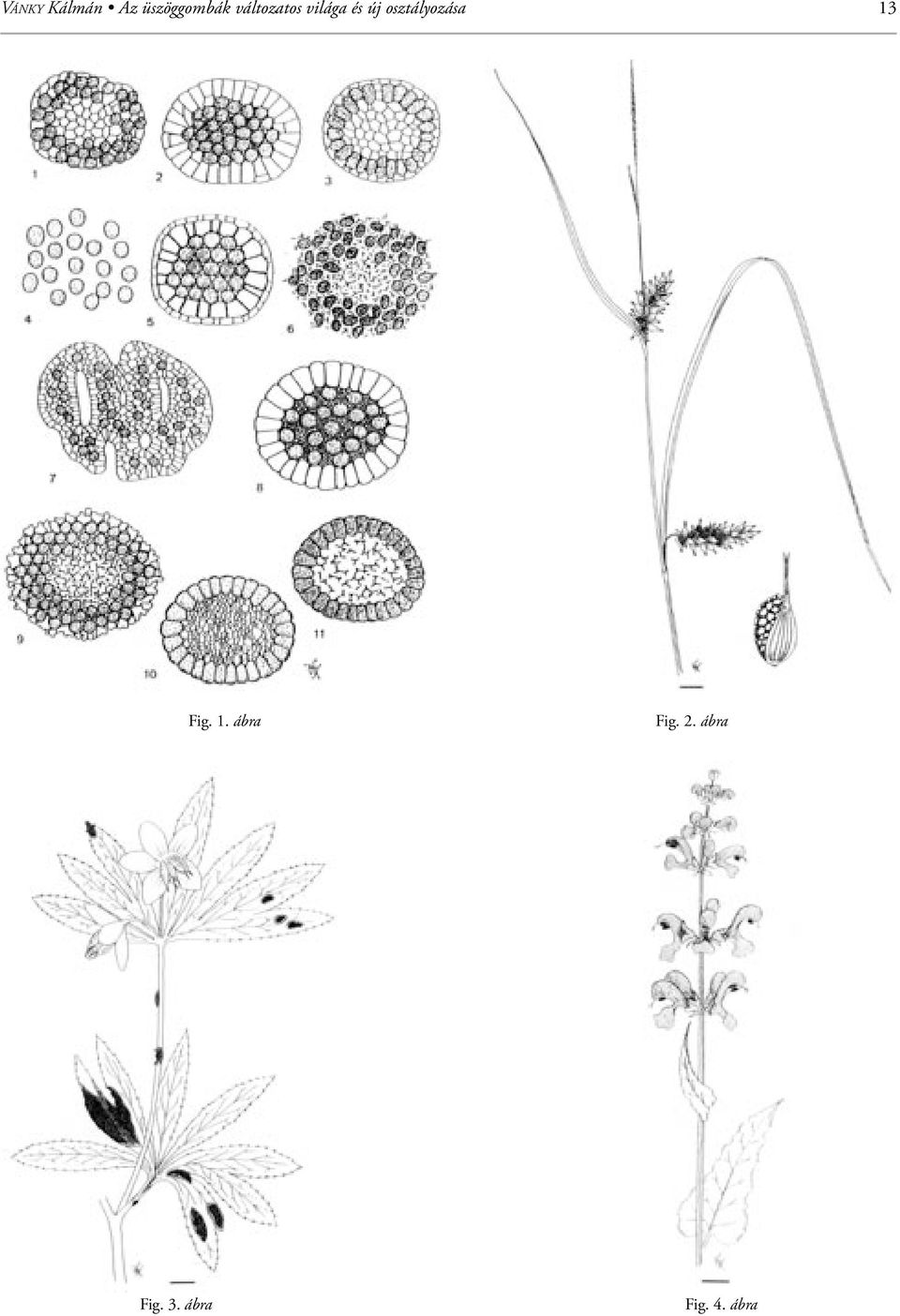 osztályozása 13 Fig. 1. ábra Fig.