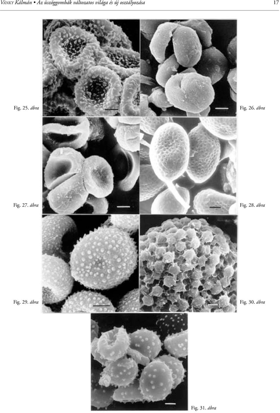 ábra Fig. 26. ábra Fig. 27. ábra Fig. 28.