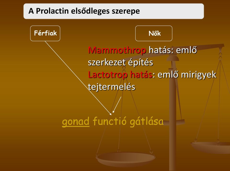 szerkezet építés Lactotrop hatás: