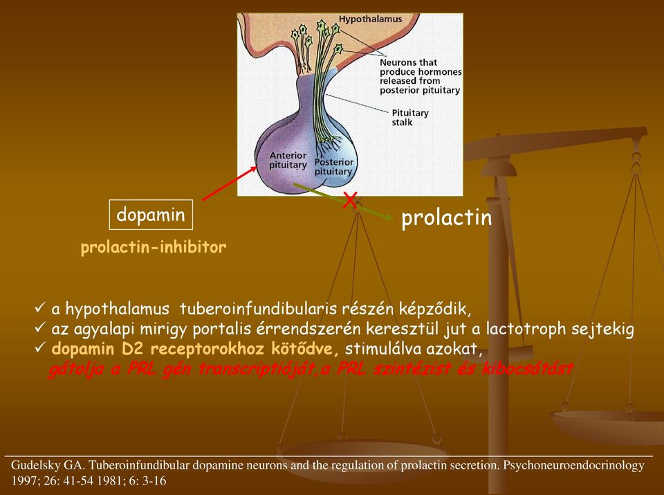 stimulálva azokat, gátolja a PRL gén transcriptióját,a PRL szintézist és kibocsátást Gudelsky GA.