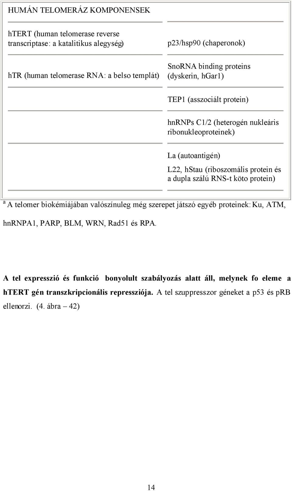 és a dupla szálú RNS-t köto protein) a A telomer biokémiájában valószínuleg még szerepet játszó egyéb proteinek: Ku, ATM, hnrnpa1, PARP, BLM, WRN, Rad51 és RPA.