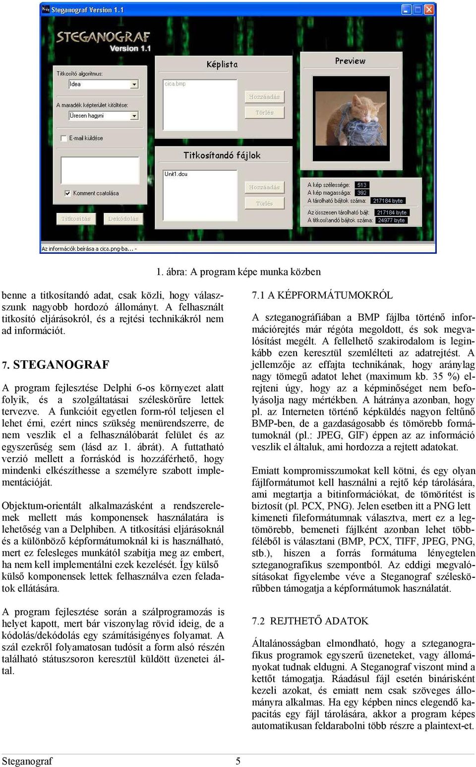 STEGANOGRAF A program fejlesztése Delphi 6-os környezet alatt folyik, és a szolgáltatásai széleskörűre lettek tervezve.