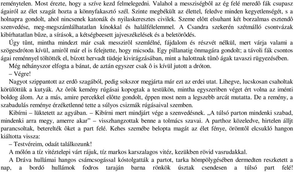 Szeme elôtt elsuhant két borzalmas esztendô szenvedése, meg-megszámlálhatatlan kínokkal és halálfélelemmel.