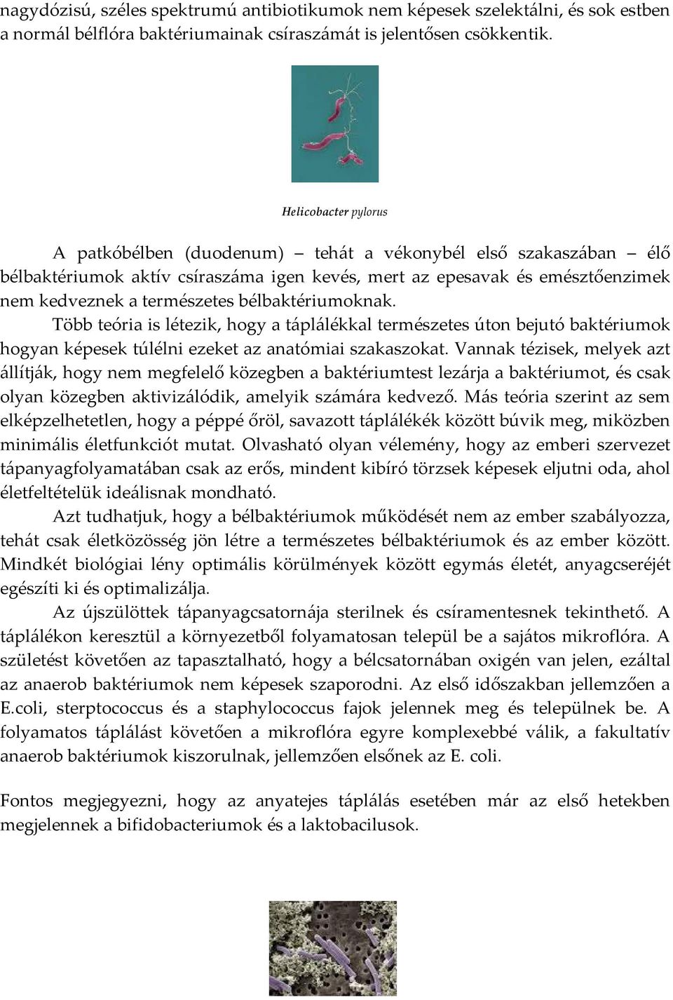 bélbaktériumoknak. Több teória is létezik, hogy a táplálékkal természetes úton bejutó baktériumok hogyan képesek túlélni ezeket az anatómiai szakaszokat.