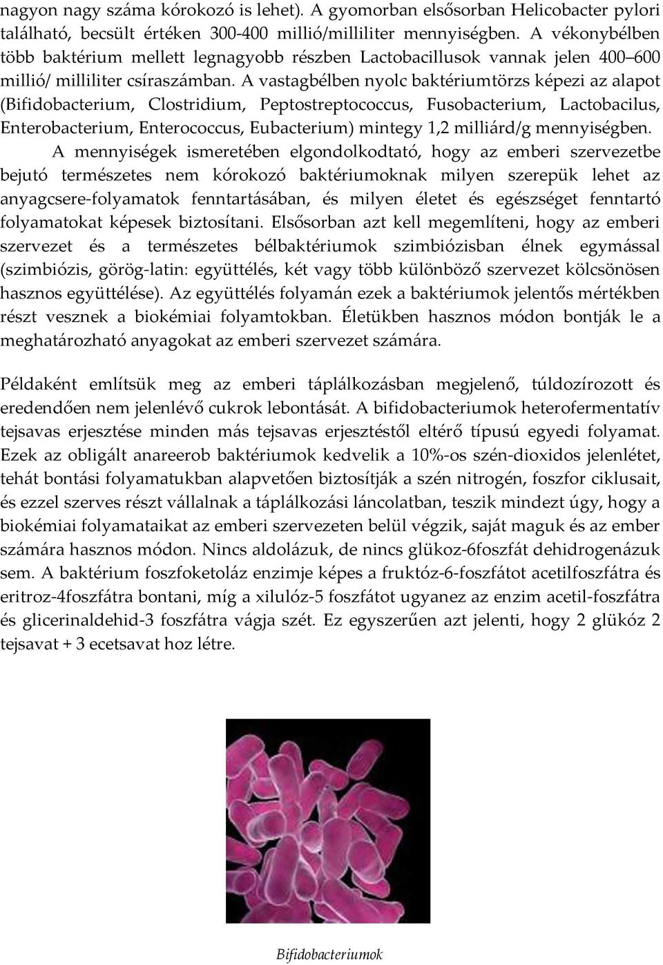 A vastagbélben nyolc baktériumtörzs képezi az alapot (Bifidobacterium, Clostridium, Peptostreptococcus, Fusobacterium, Lactobacilus, Enterobacterium, Enterococcus, Eubacterium) mintegy 1,2 milliárd/g