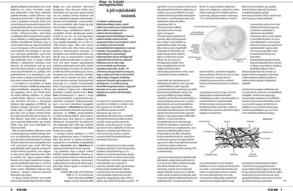 Éppen ezért az idegen eredetű fehérjerészecskék eltávolítása a nyálkahártyából a méregtelenítés egyik lényeges feladata, az eddigi tapasztalatok birtokában elmondhatom Önöknek, hogy az esetek