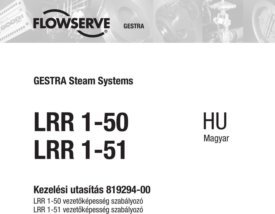 819294-00 LRR 1-50 vezetőképesség