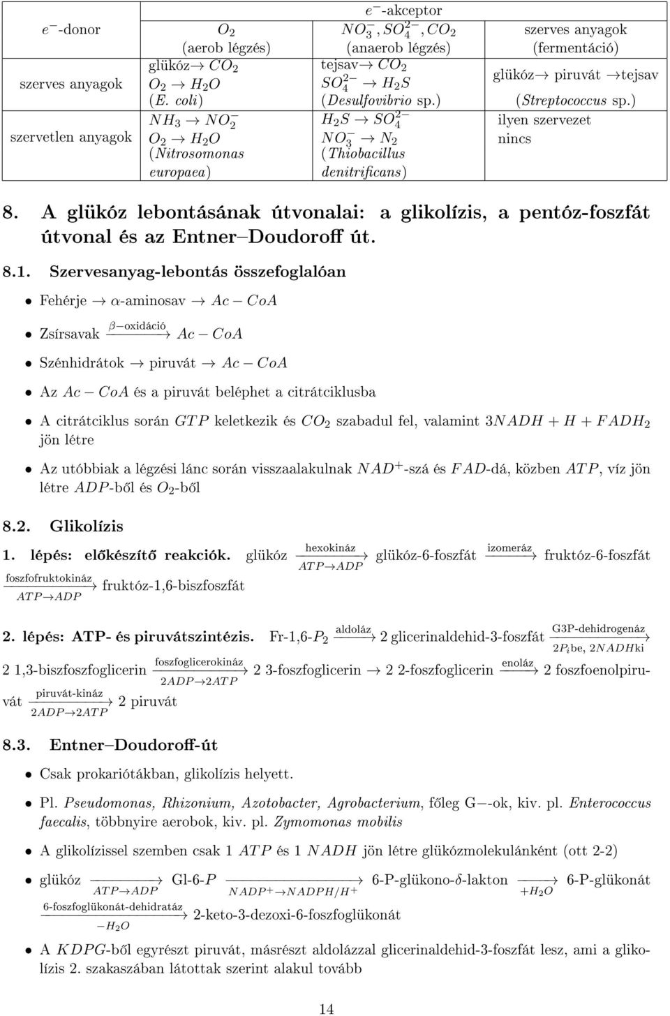 A glükóz lebontásának útvonalai: a glikolízis, a pentóz-foszfát útvonal és az EntnerDoudoro út. 8.1.