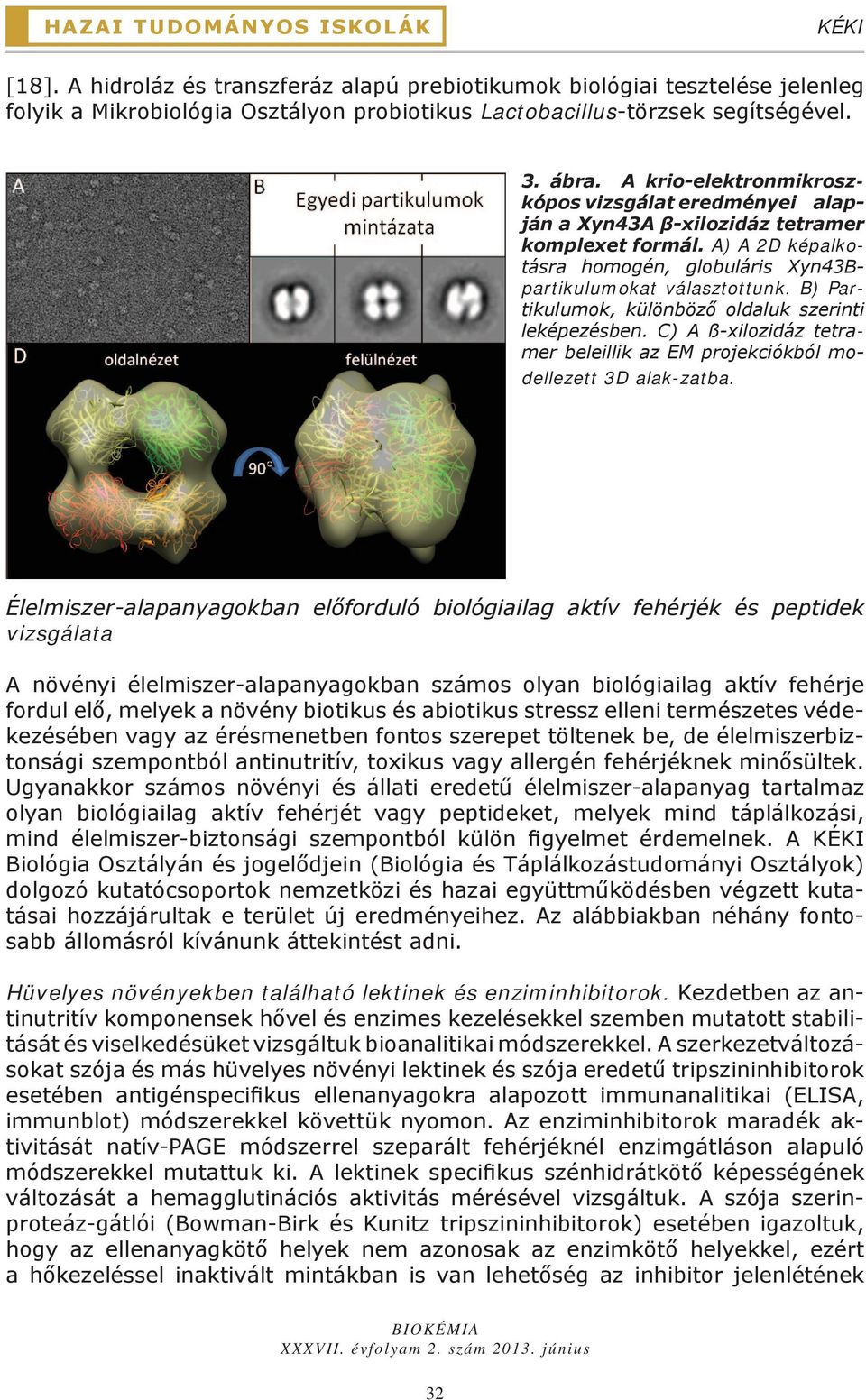 B) Partikulumok, különböző oldaluk szerinti leképezésben. C) A ß-xilozidáz tetramer beleillik az EM projekciókból modellezett 3D alak-zatba.