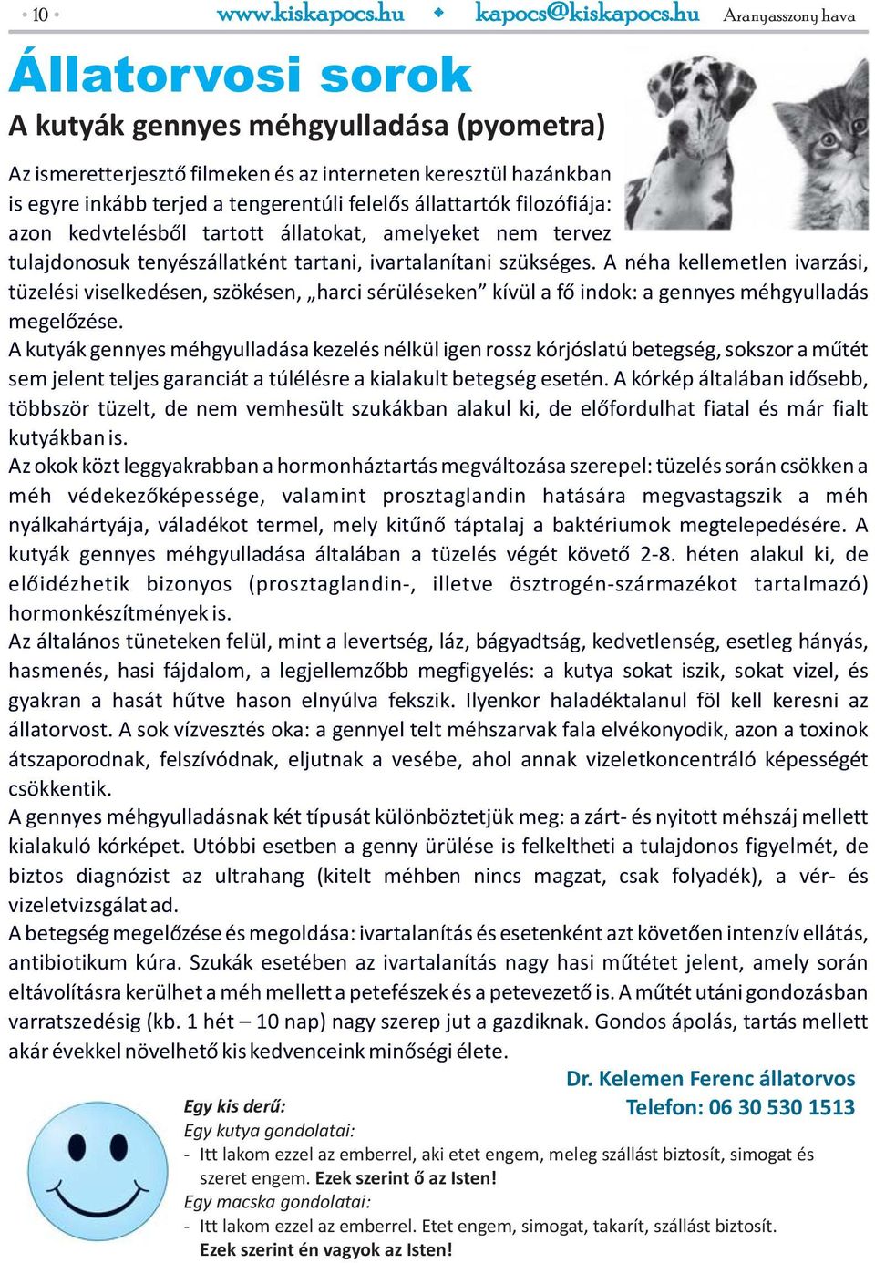 állattartók filozófiája: azon kedvtelésből tartott állatokat, amelyeket nem tervez tulajdonosuk tenyészállatként tartani, ivartalanítani szükséges.