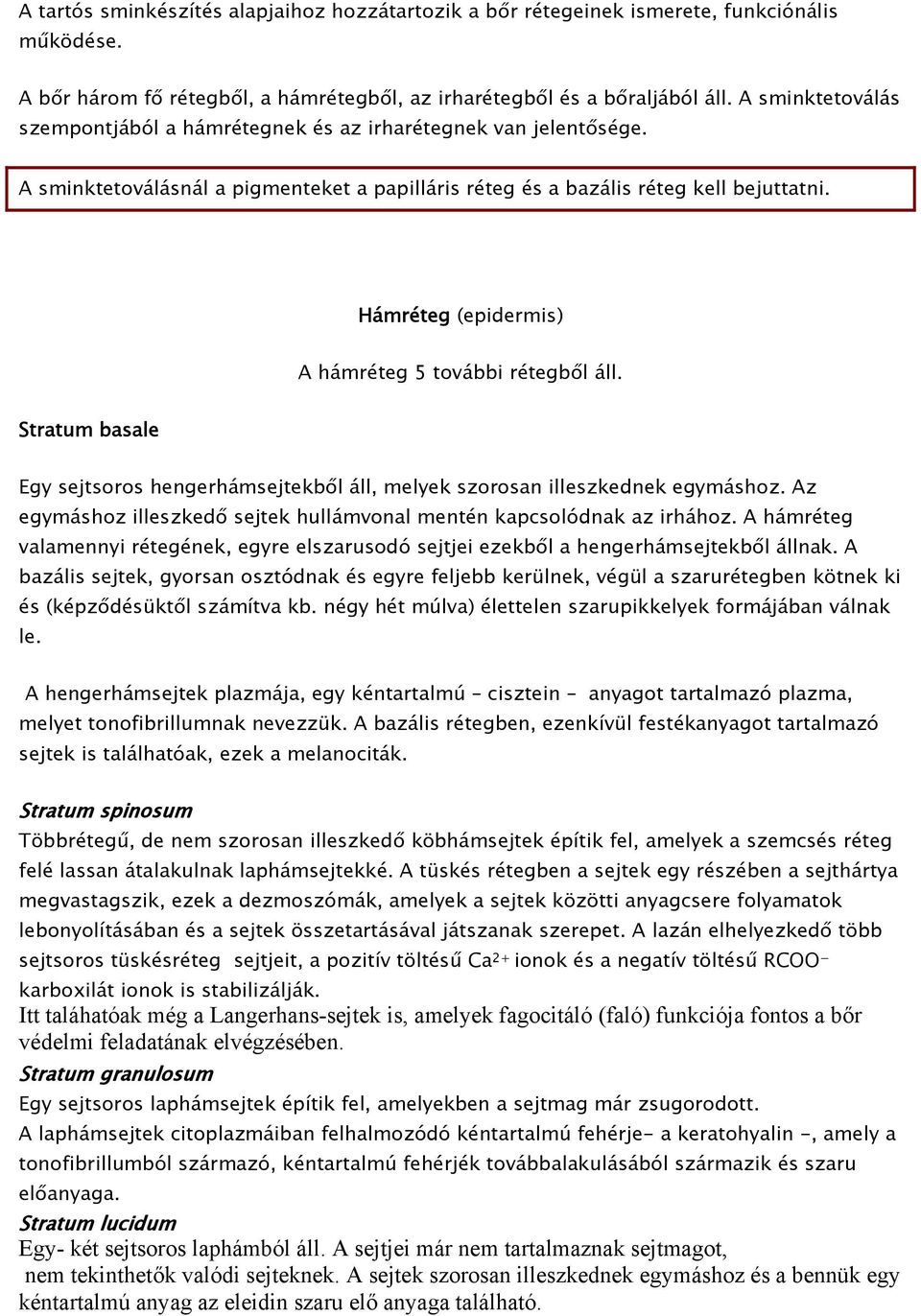 Hámréteg (epidermis) A hámréteg 5 további rétegből áll. Stratum basale Egy sejtsoros hengerhámsejtekből áll, melyek szorosan illeszkednek egymáshoz.