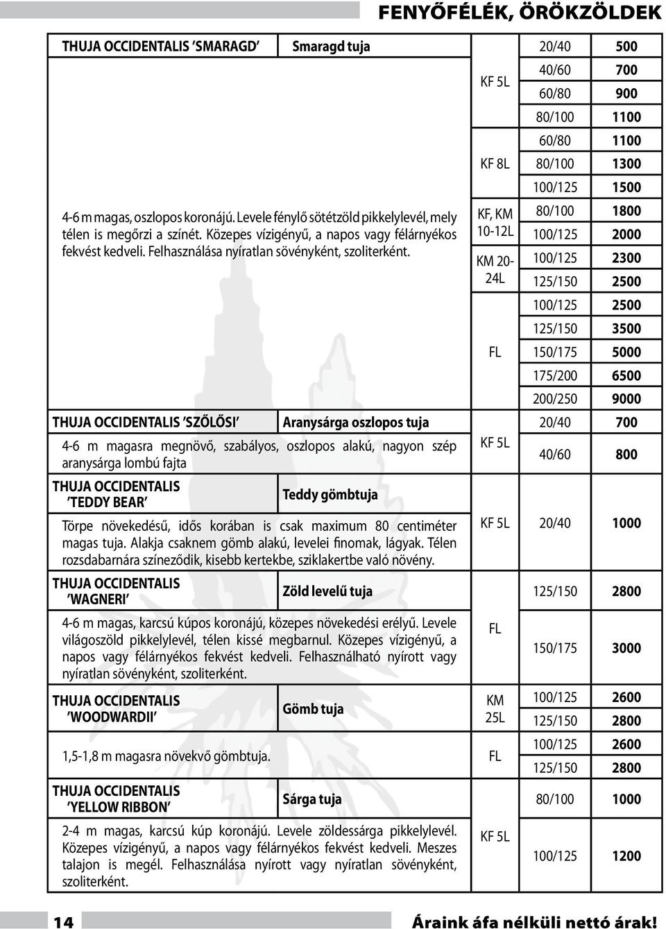 THUJA OCCIDENTALIS SZŐLŐSI Aranysárga oszlopos tuja 4-6 m magasra megnövő, szabályos, oszlopos alakú, nagyon szép aranysárga lombú fajta THUJA OCCIDENTALIS Teddy gömbtuja TEDDY BEAR Törpe növekedésű,