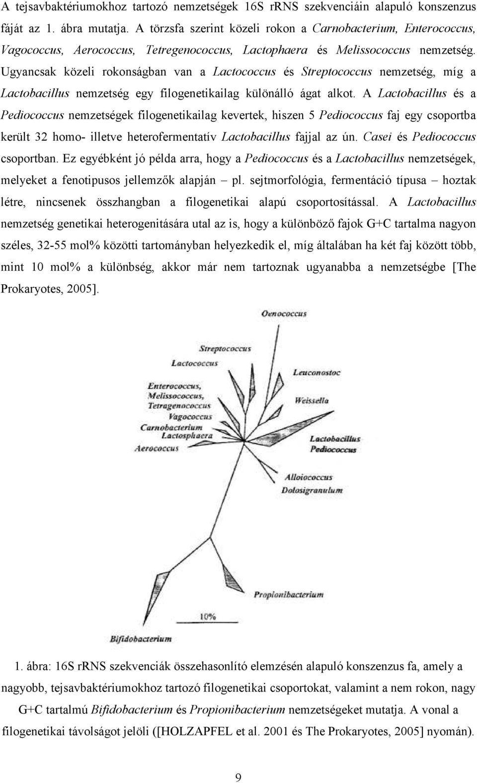 Ugyancsak közeli rokonságban van a Lactococcus és Streptococcus nemzetség, míg a Lactobacillus nemzetség egy filogenetikailag különálló ágat alkot.