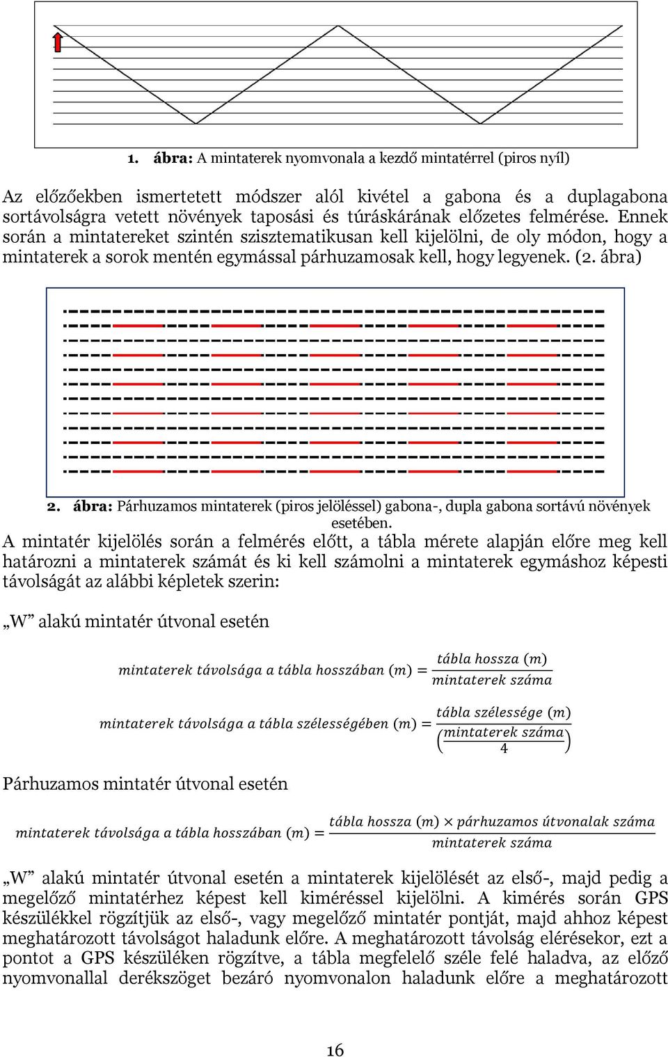 ábra: Párhuzamos mintaterek (piros jelöléssel) gabona-, dupla gabona sortávú növények esetében.