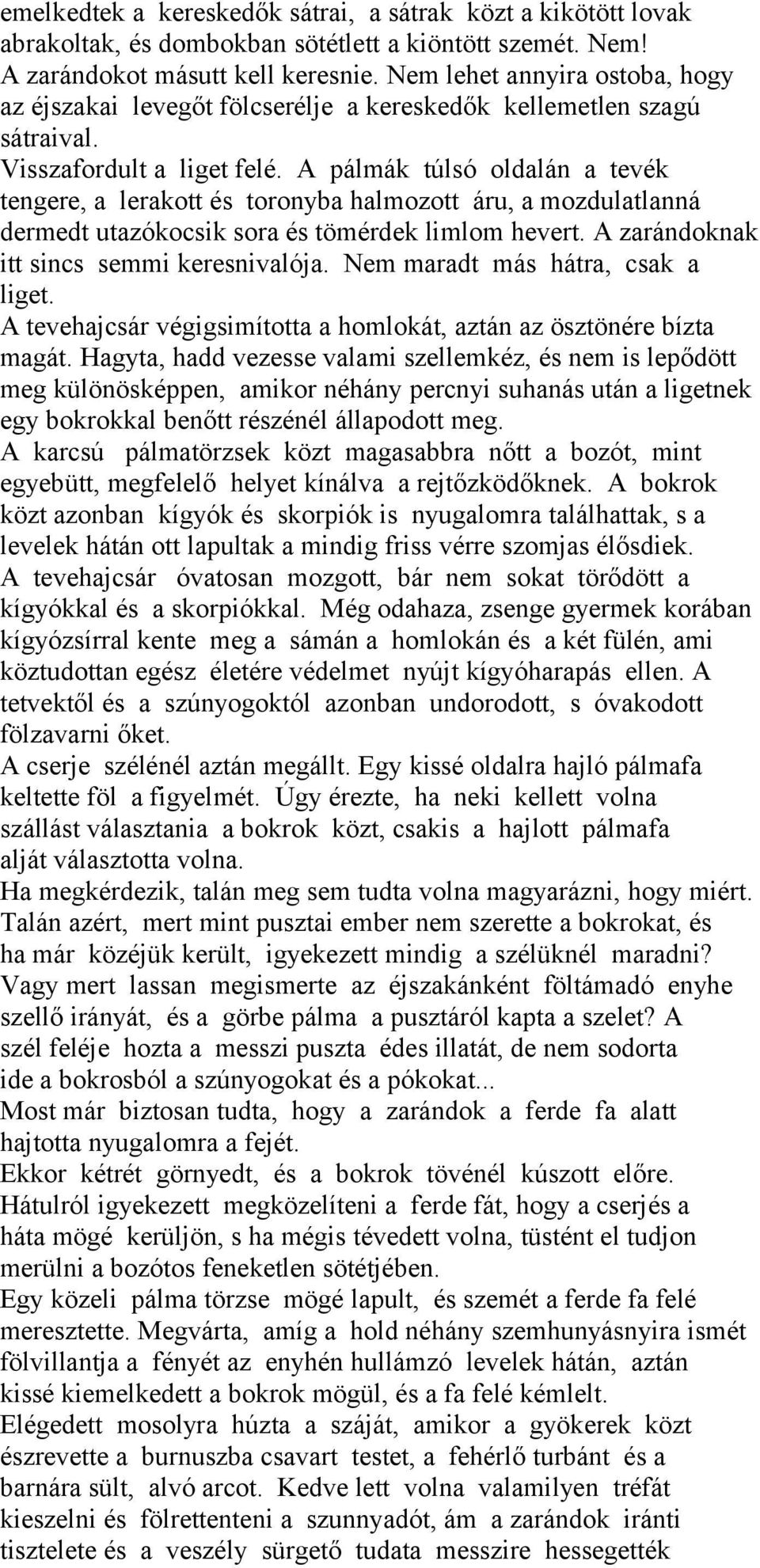 A pálmák túlsó oldalán a tevék tengere, a lerakott és toronyba halmozott áru, a mozdulatlanná dermedt utazókocsik sora és tömérdek limlom hevert. A zarándoknak itt sincs semmi keresnivalója.