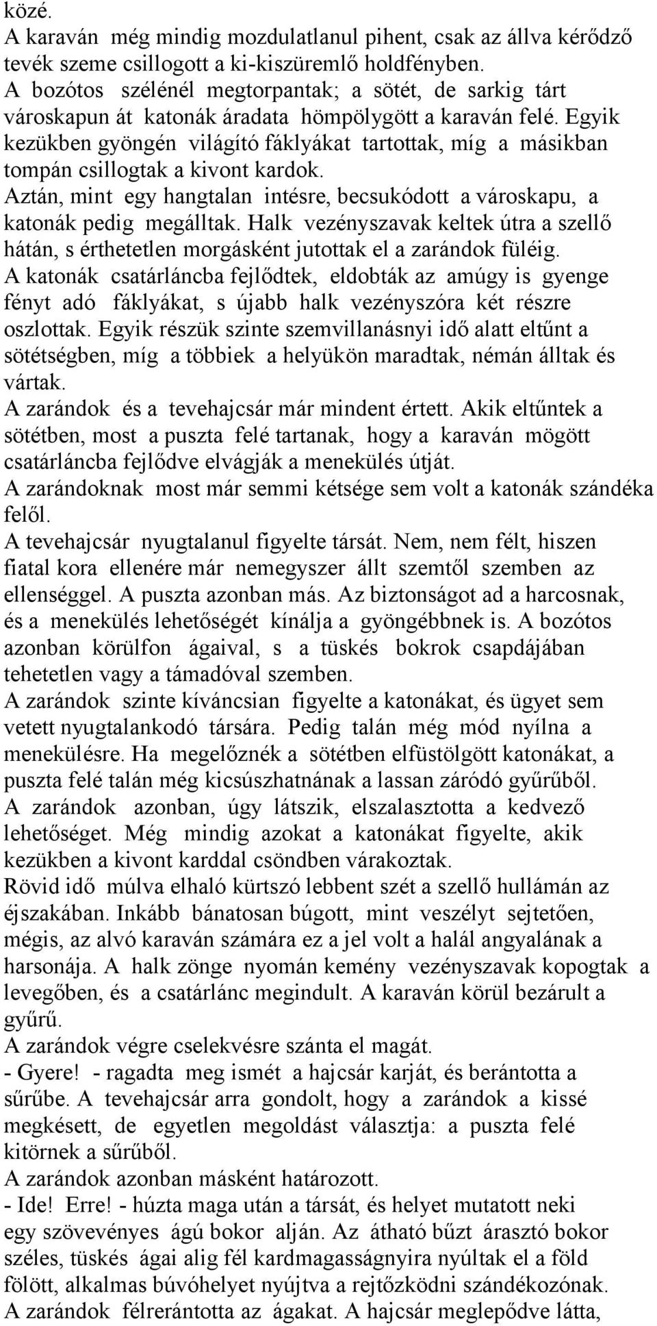 Egyik kezükben gyöngén világító fáklyákat tartottak, míg a másikban tompán csillogtak a kivont kardok. Aztán, mint egy hangtalan intésre, becsukódott a városkapu, a katonák pedig megálltak.