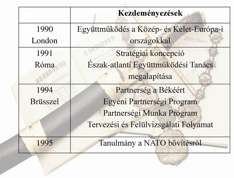 Tanács megalapítása Partnerség a Békéért Egyéni Partnerségi Program Partnerségi