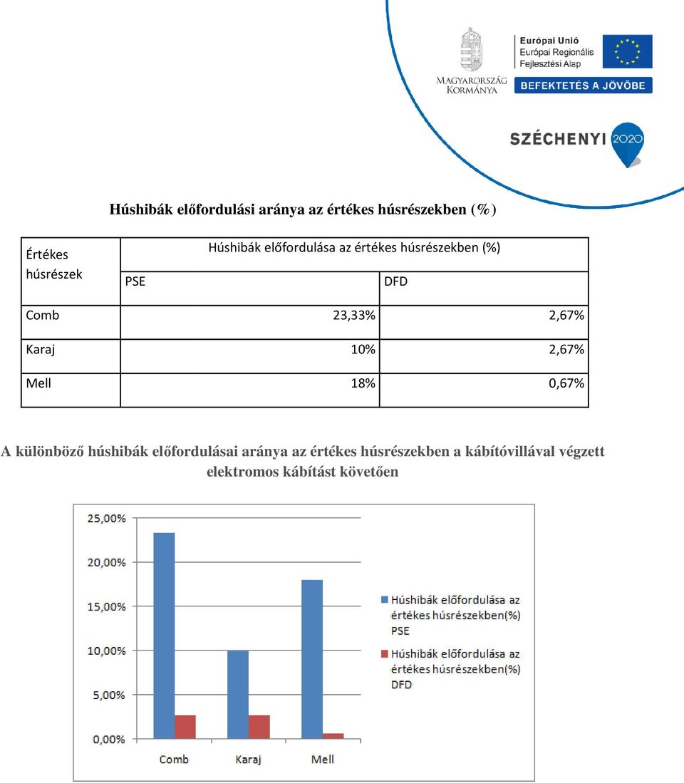 23,33% 10% 18% 2,67% 2,67% 0,67% A különböző húshibák előfordulásai aránya