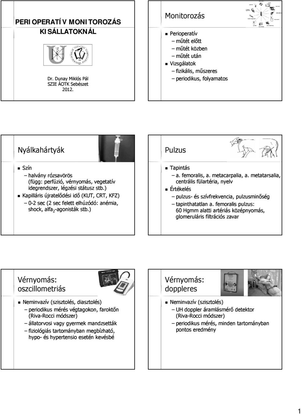 idegrendszer, légzési státusz stb.) Kapilláris újratelődési idő (KUT, CRT, KFZ) 0-2 sec (2 sec felett elhúzódó: anémia, shock, alfa 2 -agonisták stb.) Tapintás a. femoralis, a. metacarpalia, a.