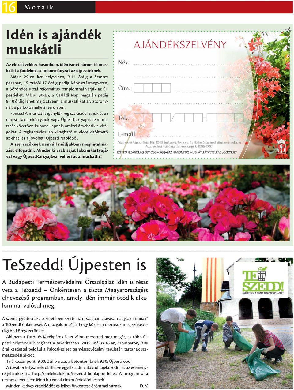 Május 30-án, a Családi Nap reggelén pedig 8-10 óráig lehet majd átvenni a muskátlikat a víztoronynál, a parkoló melletti területen. Fontos!