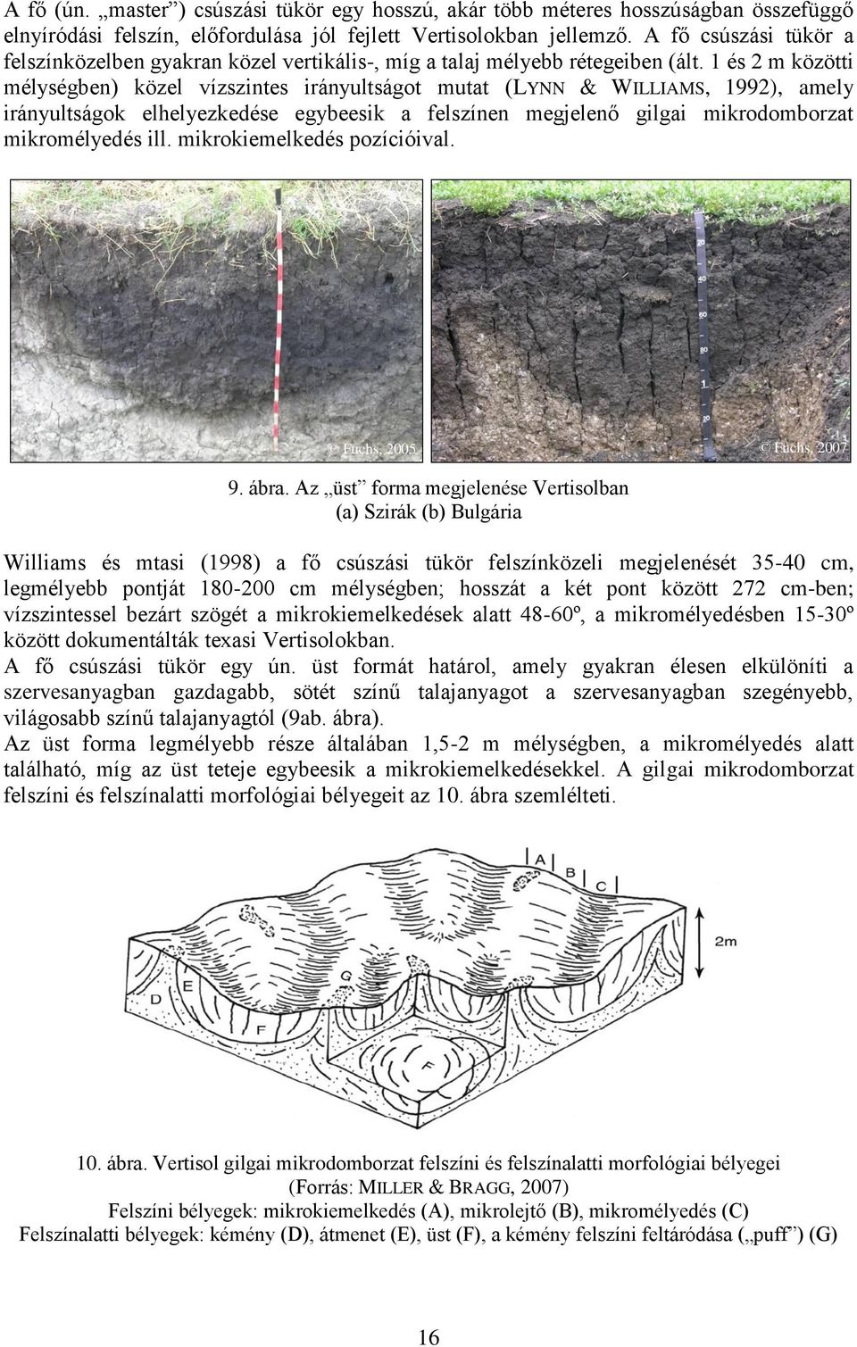 1 és 2 m közötti mélységben) közel vízszintes irányultságot mutat (LYNN & WILLIAMS, 1992), amely irányultságok elhelyezkedése egybeesik a felszínen megjelenő gilgai mikrodomborzat mikromélyedés ill.