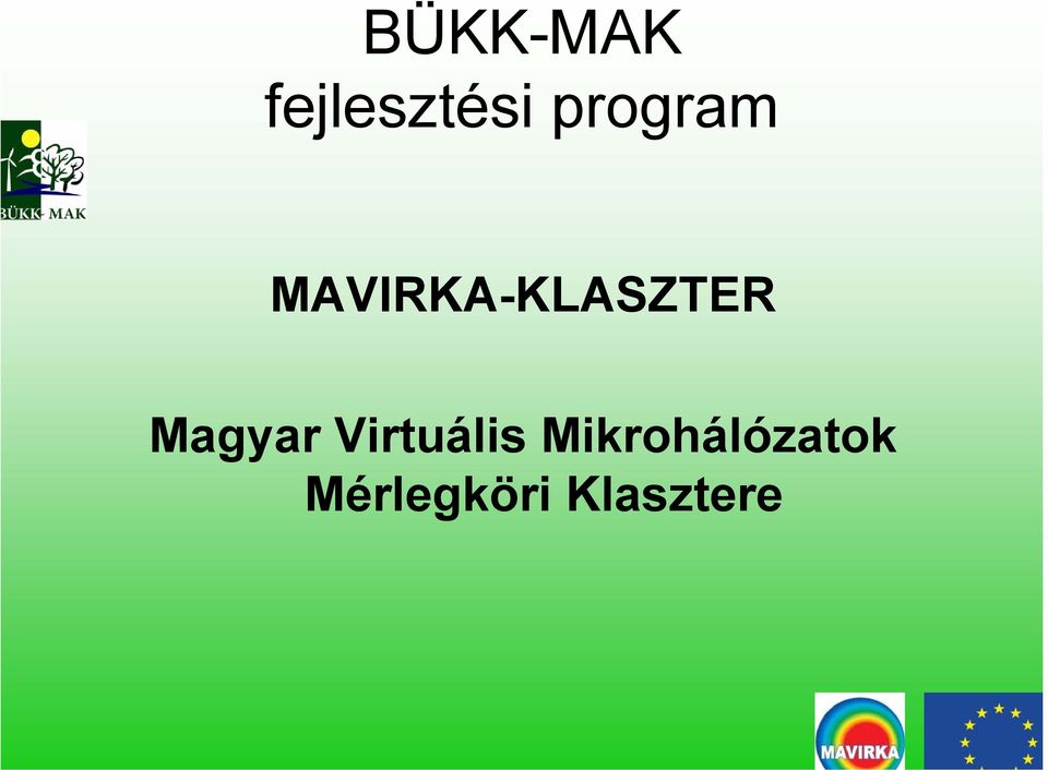 Magyar Virtuális