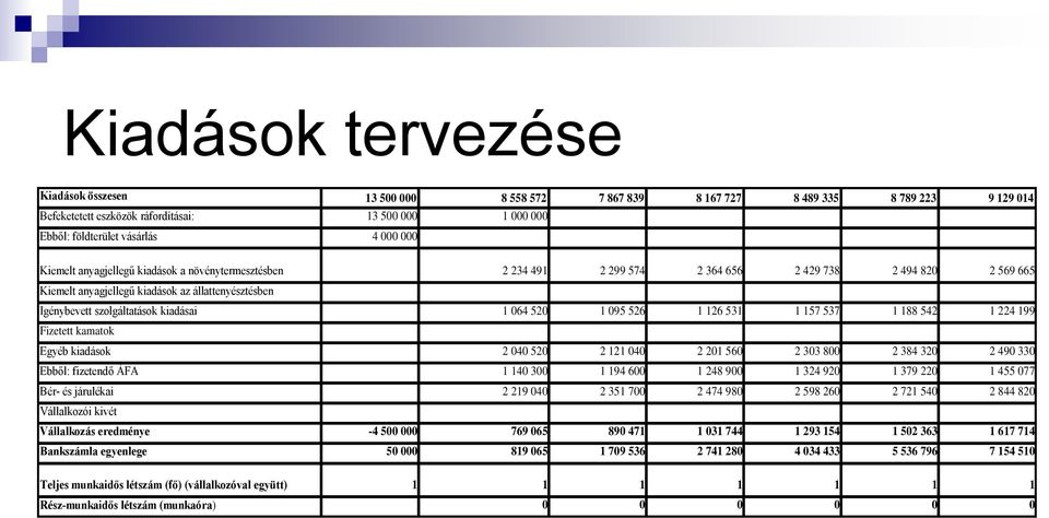 kiadásai 1 064 520 1 095 526 1 126 531 1 157 537 1 188 542 1 224 199 Fizetett kamatok Egyéb kiadások 2 040 520 2 121 040 2 201 560 2 303 800 2 384 320 2 490 330 Ebből: fizetendő ÁFA 1 140 300 1 194