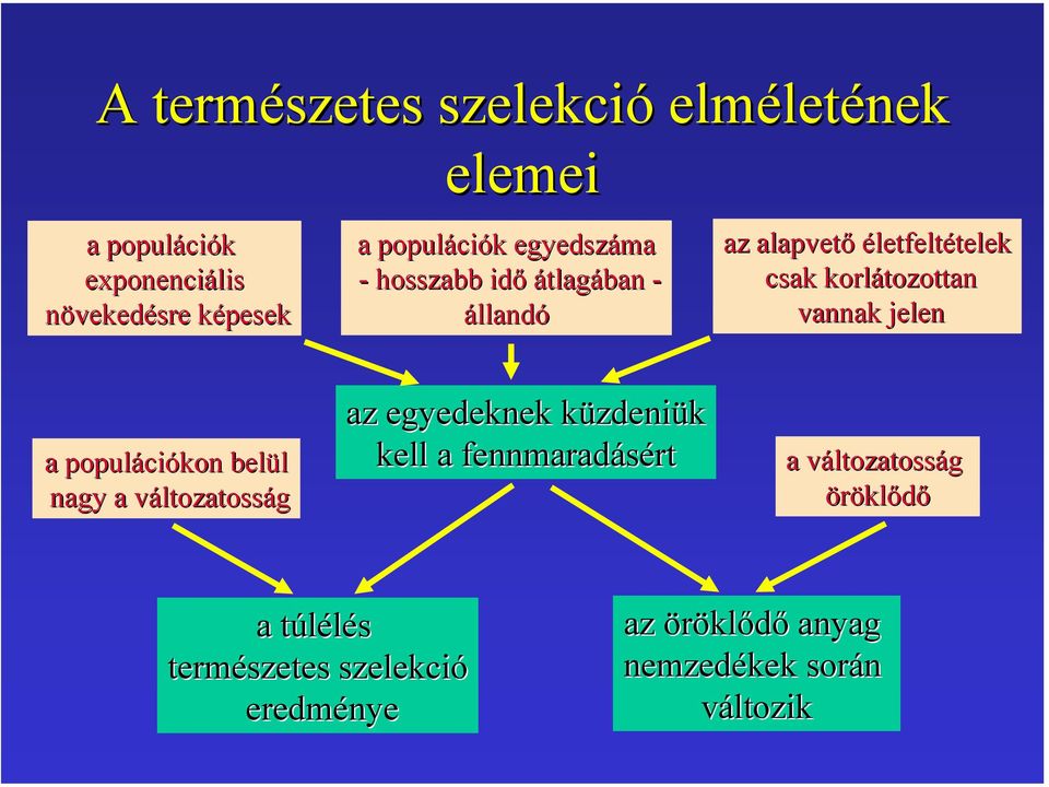 korlátozottan vannak jelen a populációkon belül nagy a változatosság az egyedeknek küzdeniük kell a