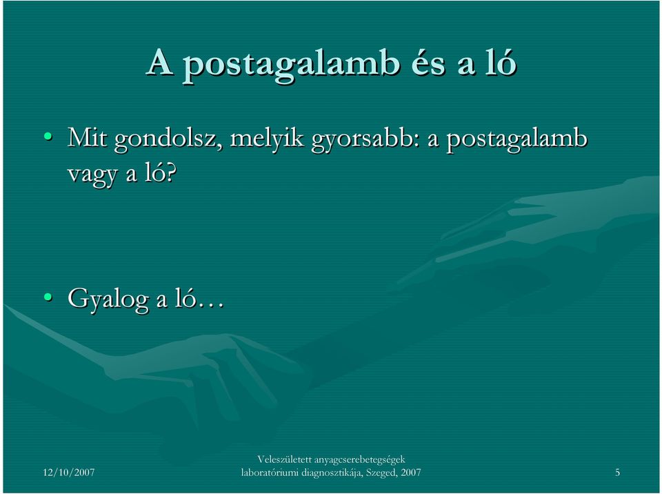 postagalamb vagy a ló?