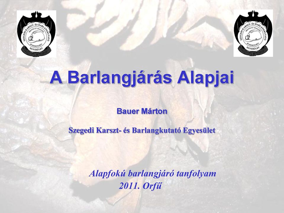 Barlangkutató Egyesület